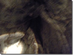 DSCN1720