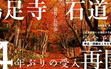 鶏足寺の紅葉