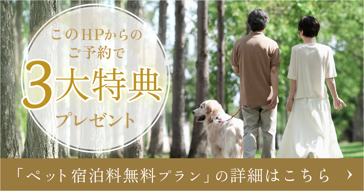 3大特典プレゼント