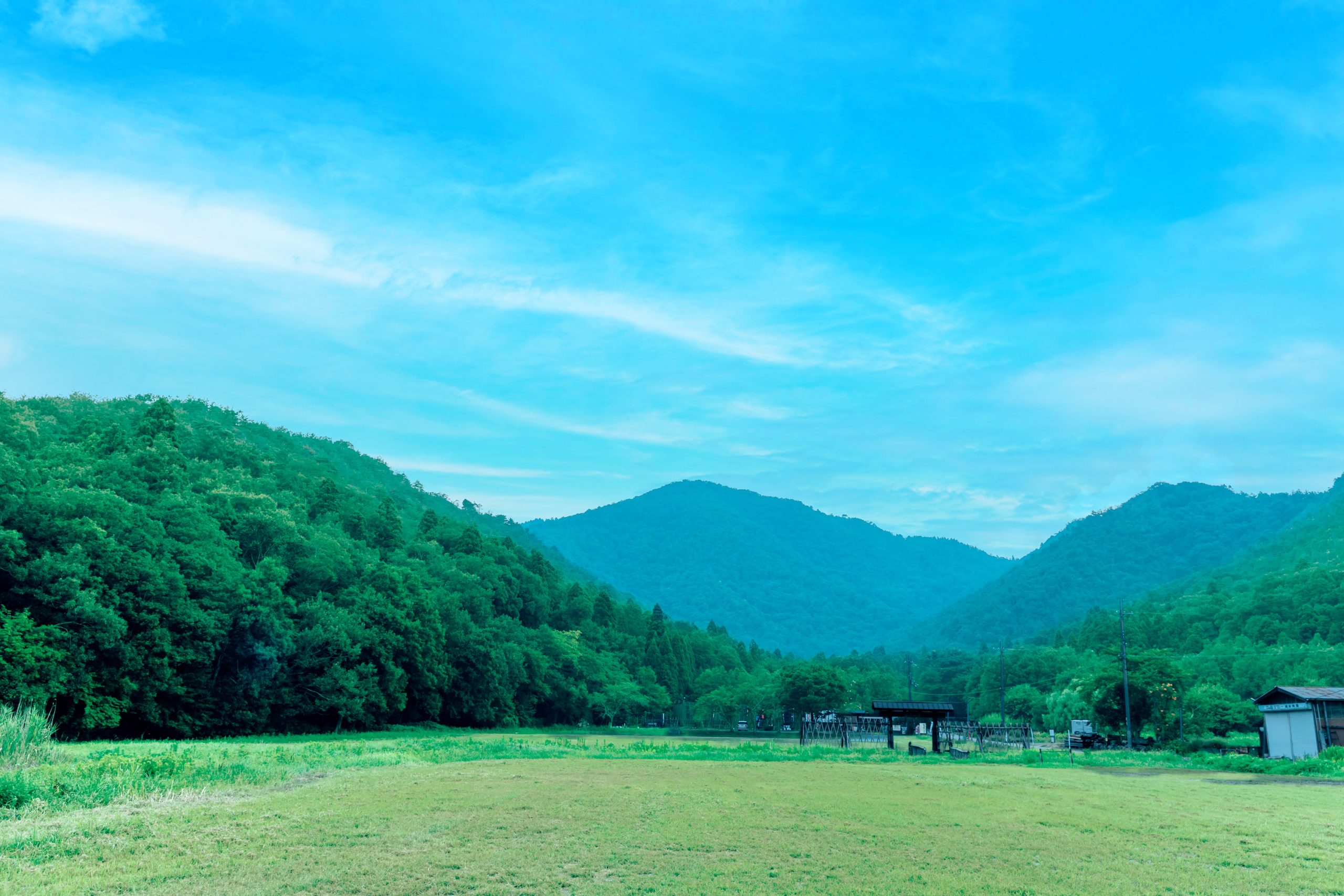 夏の小谷山